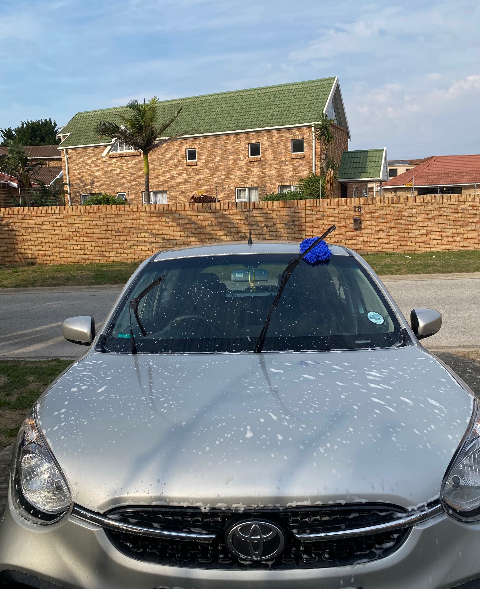 Snow Foam Pre-Wash